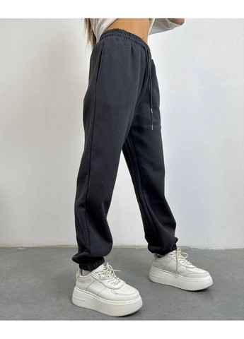 Жіночі спортивні штани джогери на флісі Nositi 485-13 (356511151)