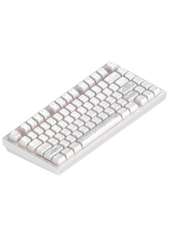 Клавиатура ALU81 Terra Nostra White (DPKB_NOSTRA_81_ANSI_WHITE_UA) Dark Project (373292877)