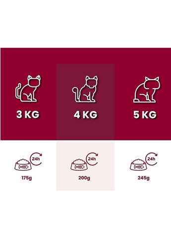 Вологий кормCarny Adult Beef з яловичиною для котів, 200 г Animonda (266274545)