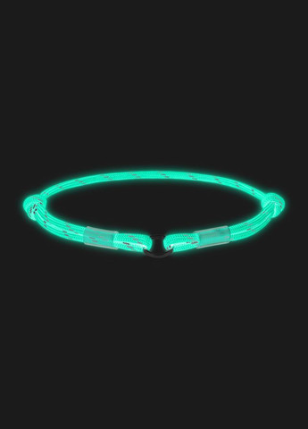 Шнурок для адресника из паракорда Smart ID, светящийся, светоотражающий,, Д 4 мм, Дл 25-45 см WAUDOG (333822629)