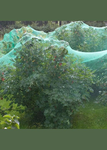 Сетка для вьющихся растений и защиты растений и грядок от птиц, 4 х 5 м Parkside (362495602)