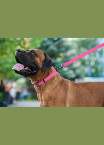 Поводок для собак водостойкий Waterproof, M, Ш 20 мм, Дл 122 см розовый WAUDOG (322125071)
