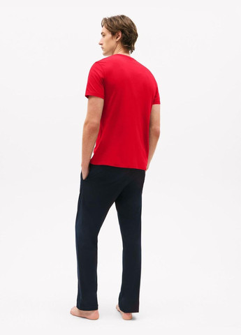 Цветная футболка-набор мужских футболок cotton 3 шт для мужчин Tommy Hilfiger