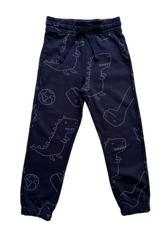 Комплект (2шт) спортивні штани-джогери сірі + темно-сині 2000-18/2000-19 (116 см) OVS (292395761)