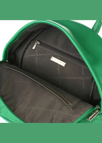 Рюкзак жіночий 6955-3 еко-шкіра David Jones (309571293)