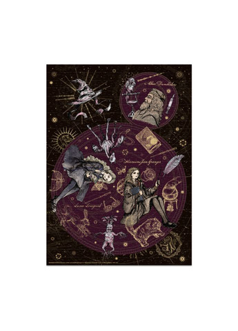 Пазл классический "Harry Potter. Лидер. Перфекционистка. Невероятная" 200507, 500 элементов DoDo Toys (364134132)