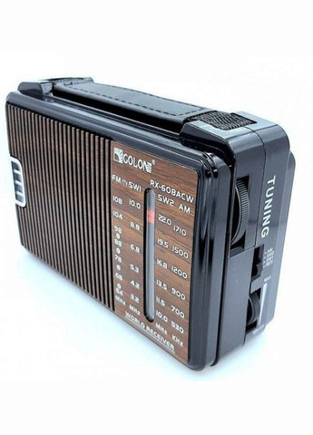 Мощный цифровой портативный радиоприемник RX-608ACW переносное радио работа от сети Golon (297331907)