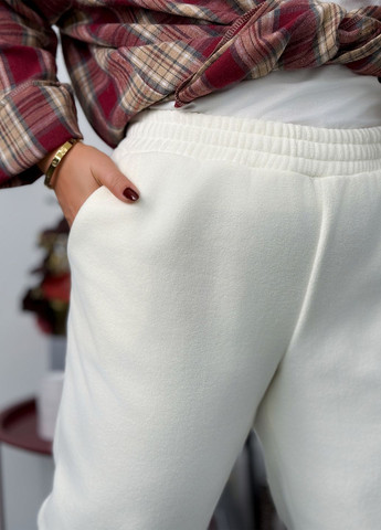 Спортивні штани джогери жіночі з флісу Polar No Brand (368338413)