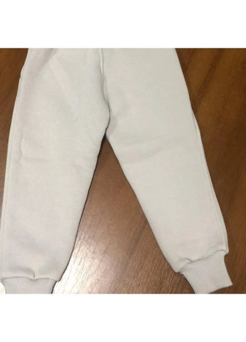 Дитячі теплі спортивні штани сірі на флісі з принтом Tom & Jerry для хлопчика Partner (362270394)