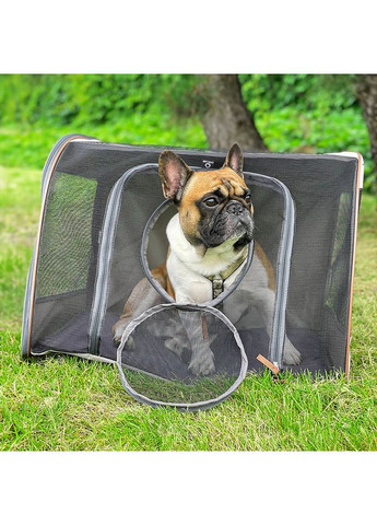 Автокрісло COLLAR 60*40*45 No Brand (363198533)