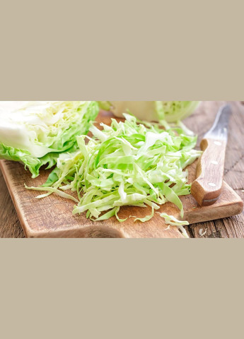 Семена капусты Агрессор F1 10 шт. ( ) Syngenta (328606820)