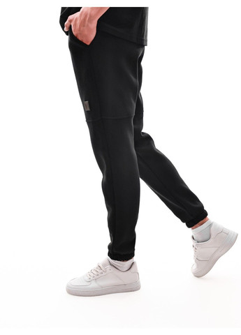 Штани спортивні чоловічі No Brand (368996178)