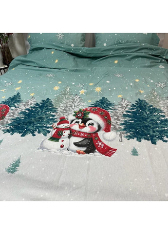 Зимова постільна білизна фланель (байка) півтораспальний розмір бірюзового кольору - м'якість, тепло та новорічний настрій! No Brand (370278912)