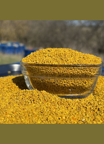 Пыльца пчелиная цветочная 2025 г весенняя сладкая стеклянная баночка 450 грамм МЕД ПОШТОЮ (334004091)