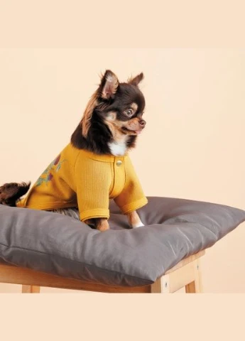 Кардиган для собак Denis для собак размер S желтый Pet Fashion (332767388)