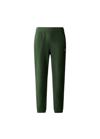 Зеленые демисезонные брюки The North Face