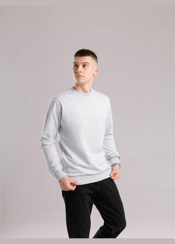 Светло-серый базовый мужской свитшот однотонный светло-серая однотонный без декора (345647928)