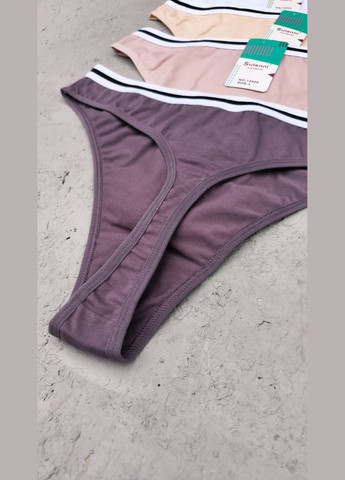 Набір 4 шт якісні бавовняні трусики стрінги Sulanni (334884367)