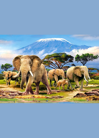 Пазл "Слоны у подножия Килиманджаро", 1000 шт (C103188) Castorland (290841506)