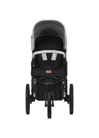 Прогулочная тележка Azura Grey Stone (LO-Azura Grey Stone) Lionelo (370034126)