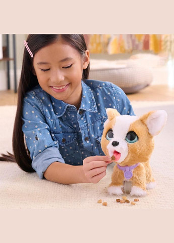 Інтерактивна іграшка "Коргі" серії "Poop-A-Lots" Furreal 28057 звукові ефекти No Brand (330602216)