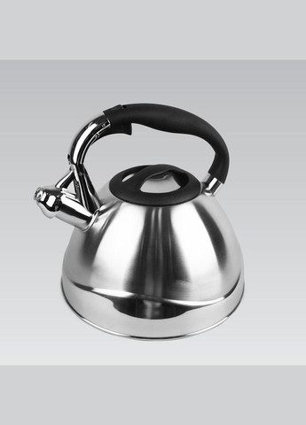 Чайник зі свистком для плити 3 л (MR-1338) Maestro (334713015)