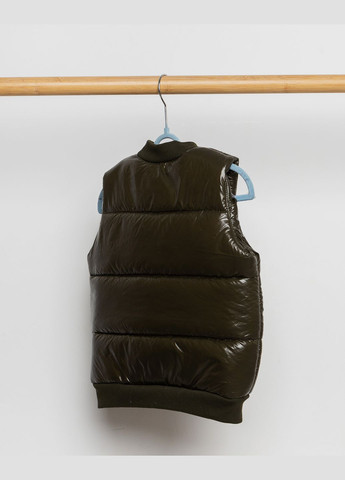 Безрукавка без капюшону No Brand (278646741)