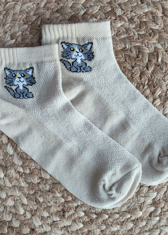 Носки детские в сетку хлопок 6 пар DL 707/6 Lomani (338434852)