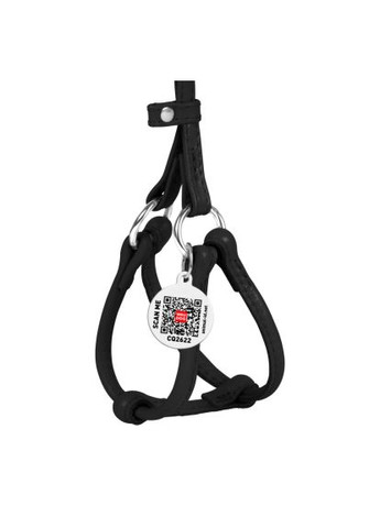 Шлей для собак Glamour с поводком круглый Д 6 мм А 42-60 см В 46-64 см черный (34021) WAUDOG Glamour з повідцем кругла Д 6 мм А 42-60 см В 46-6 (366693476)