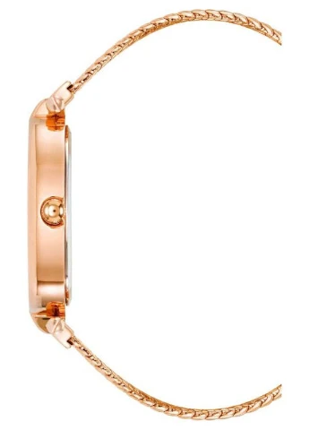 Жіночі наручні годинники Anne Klein AK/5008PMRG (322688662)