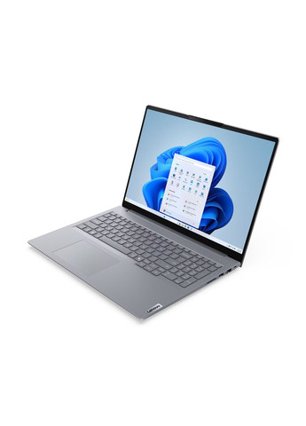 Ноутбук 21SH008JRA ThinkBook 16-G8 16" WUXGA IPS AG, Intel 5-210H, 32GB, F1TB, UMA, DOS, Lenovo (361965515)