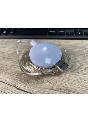 Гірлянда дріт музична USB теплий білий 10м SF-3 No Brand (367166415)