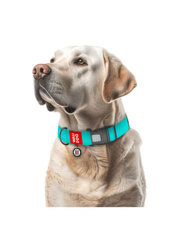 Ошейник для собак водостойкий Waterproof с QR паспортом, светонакопительный, пластиковый фастекс, Ш 40 мм, Длин 46-70 см WAUDOG (325479074)