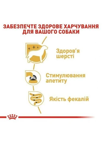 ПАК.Влажный корм YORKSHIRE ADULT для взрослых собак породы Йоркширский Терьер 12 шт по 85 г Royal Canin (376902211)