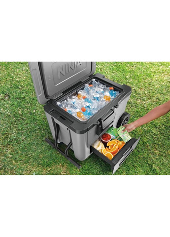 Термобокс FrostVault 42L Hard Coole (FB245EUGY) Ninja (332613647)