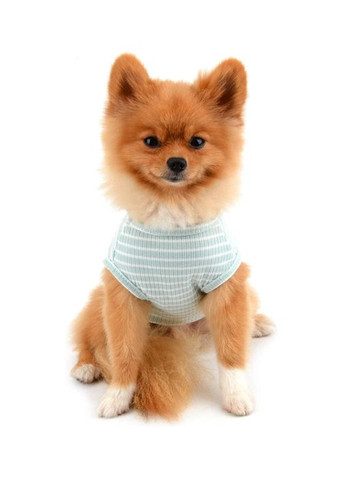 Костюм (футболка) для собак и кошек в полоску, размер М, мятный No Brand (368710488)