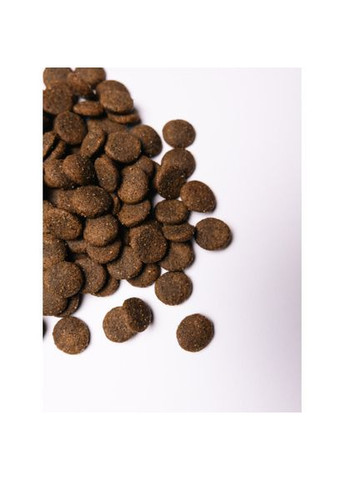 Сухой корм Large для собак больших пород, со свежим ягненком и индейкой, 3 кг Savory (322874663)