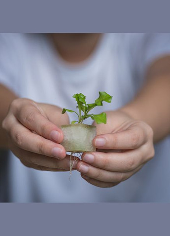 Vegebox™ by Table Box - набір садовий для гідропоніки Biochef (305325602)