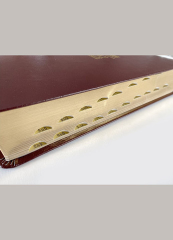 Українсько-англійська Біблія (Огієнко-NASB). Шкіра, індекси, позолота, бордо Українське Біблійне Товариство (356511296)