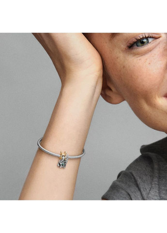 Серебряный шарм Пандора "Локи" 762764C01 Kabluchka (355347345)