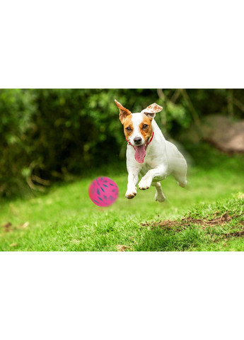 Іграшка для собак М'яч з квіточками Ø5,7см Happet (353687473)