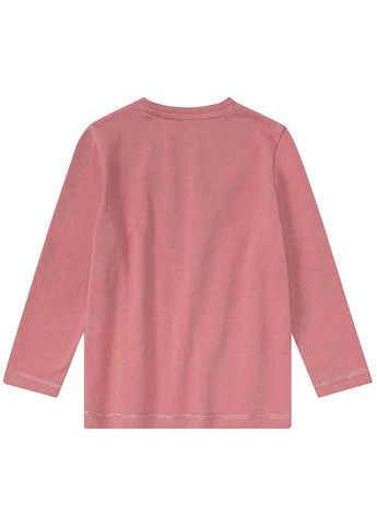 Комбінована демісезонна футболка+реглан Lupilu