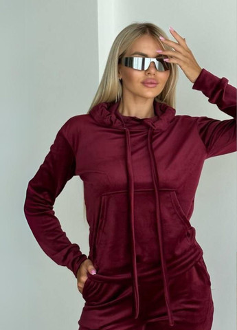 Стильный велюровый костюм Україна (323468317)