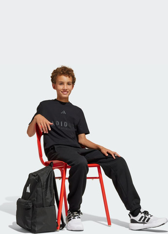 Черные спортивные демисезонные брюки adidas