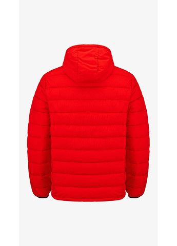 Красная зимняя куртка однотонная мужская 666-11a/6018 красный shop (2000990673220) No Brand