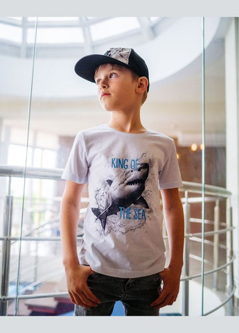 Синяя летняя набор футболок для мальчика (3шт.) hc (h001-6021-001-33-6) No Brand