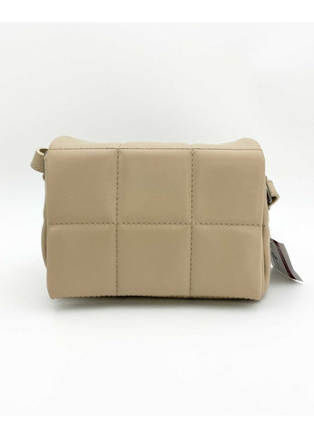 Жіноча сумка клатч бежевий екошкіра для молоді м'яка з магнітом та двома відділеннями ProDobro (367265219)