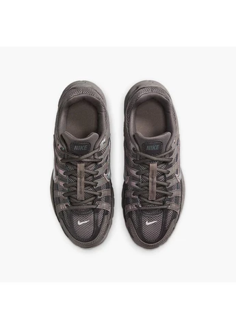 Коричневые демисезонные кроссовки p-6000 brown hv5064-200 Nike