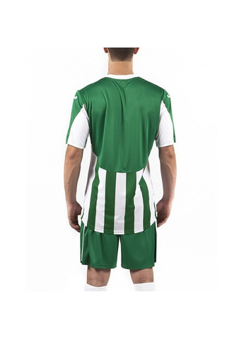 Зеленая демисезонная футболка copa зеленый,белый Joma
