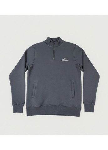 Толстовка чоловіча утеплена сіра (8101) No Brand (370693458)